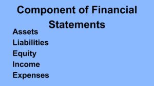 Component of Financial Statements